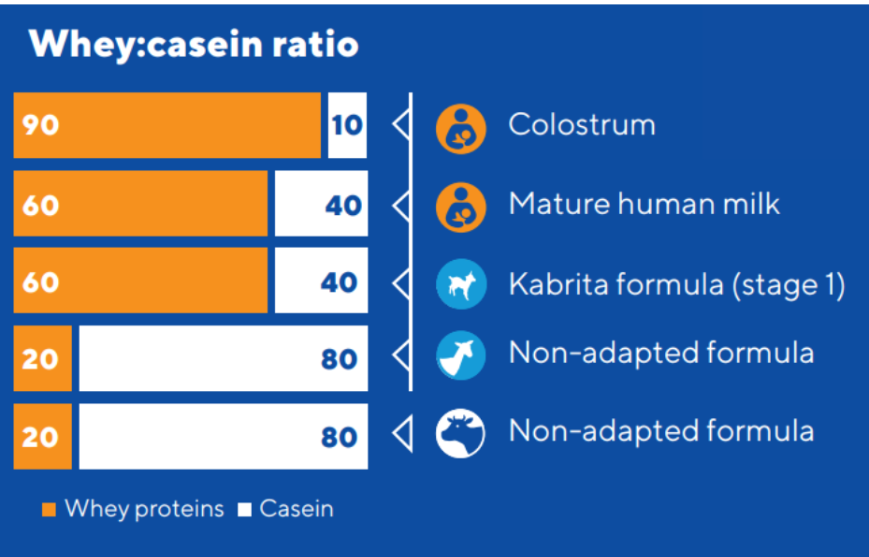 Understanding the Whey-to-Casein Ratio in Infant Formula | Clinical Overview